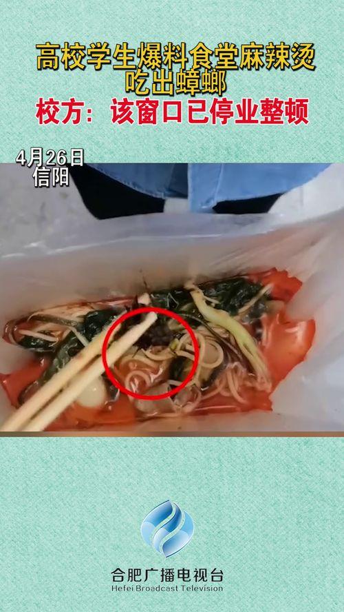 大学生爆料麻辣烫视频,大学生自制美食走红网络  第1张