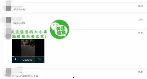 网友爆料视频来源于网络,网络视频揭露惊人真相！  第1张